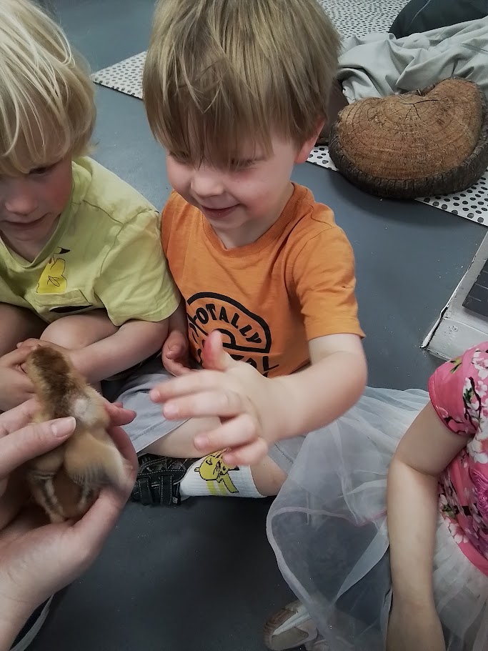 playing ducks